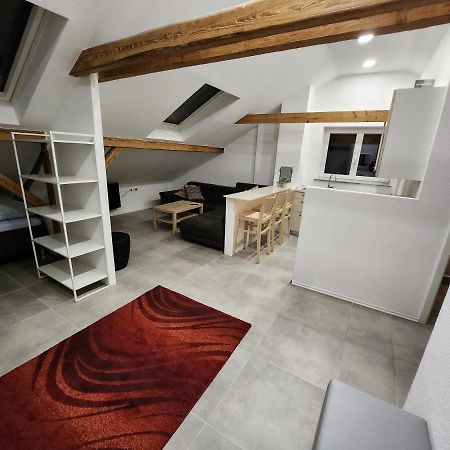 Bone Ma Daire Bad Saulgau Dış mekan fotoğraf